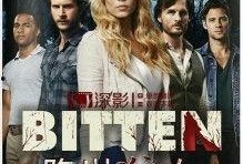 隐世狼女在线观看,神秘传说，在线揭秘