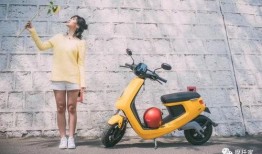 大连电动车爆料新闻事件,揭秘电动车安全隐患与监管挑战