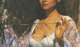 玉蒲团叶子楣在线观看
