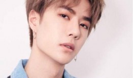 李宏毅哥哥爆料视频,独家幕后故事大公开