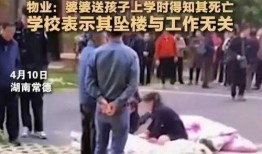 坠楼老师爆料视频播放网站,网络平台背后的真相曝光