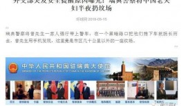 环球时报最新爆料