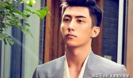 圈内人爆料黄景瑜夫妇视频,圈内人揭秘真实生活瞬间