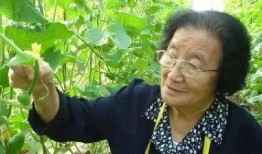 吃瓜娱乐蜀黍是谁发明的,网络流行语的创意溯源