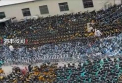 海丰最近爆料新闻,最新爆料揭示惊人真相