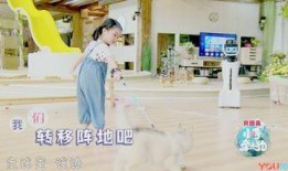 小手牵小狗在线观看,温馨亲子互动，共度欢乐时光