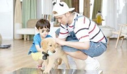 小手牵小狗在线观看,温馨亲子互动，共度欢乐时光