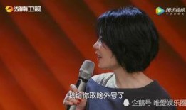 那英爆料王菲最新消息,神秘消息引粉丝热议