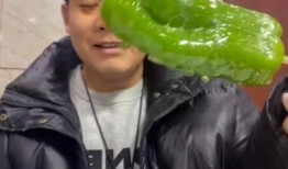 吃瓜网红事件最新米兜,米兜视角下的娱乐圈风云再起