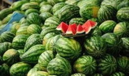 吃瓜网红事件最新米兜,米兜视角下的娱乐圈风云再起