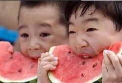 爱心吃瓜全集免费观看,全集免费观看，揭秘娱乐圈幕后风云