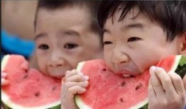 爱心吃瓜全集免费观看,全集免费观看，揭秘娱乐圈幕后风云