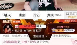 主播爆料免费视频网站,主播爆料带你探秘