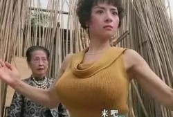 玉蒲团叶子楣在线观看