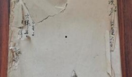 联动店最新爆料信息怎么写,最新动态揭秘，不容错过的行业洞察