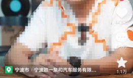 蔡老板爆料海狮视频播放,海狮视频背后的惊人真相