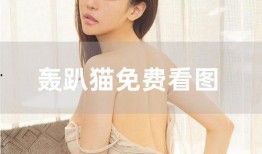 名媛黑料红人爆料视频,红人视频揭秘娱乐圈背后真相