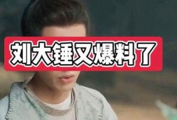 刘大锤最新爆料麦玲