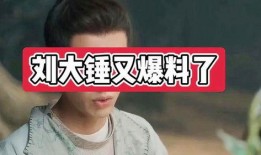刘大锤最新爆料麦玲