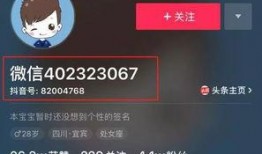 爆款爆料视频入口,揭秘爆款爆料视频入口的秘密