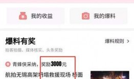 西安今日头条网上爆料,揭秘神秘事件，真相即将揭晓！