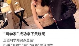 名媛黑料红人爆料视频,红人视频揭秘娱乐圈背后真相